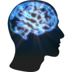 Brain & Memory
