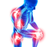 Joint & Bone Health