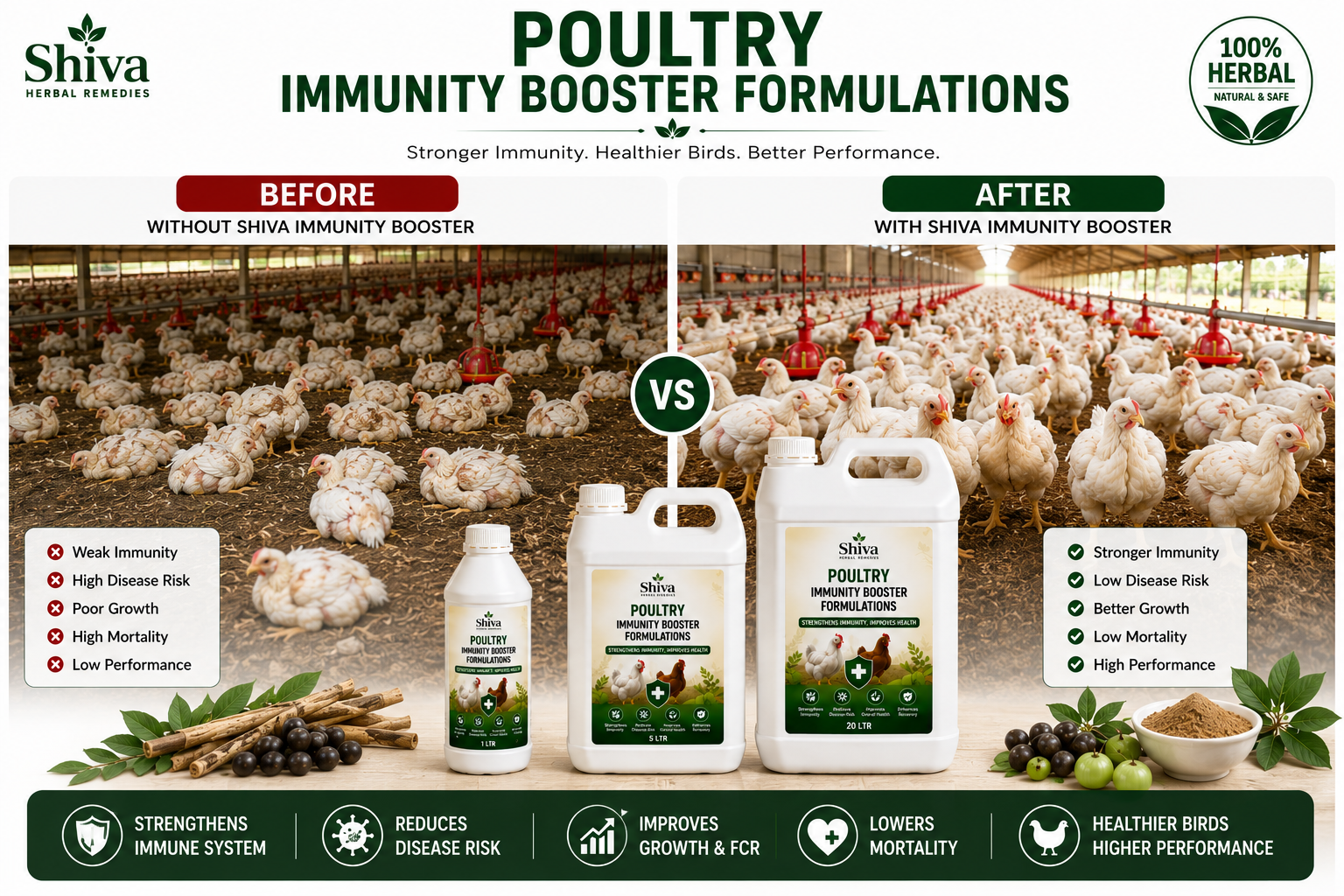Herbal immunity booster