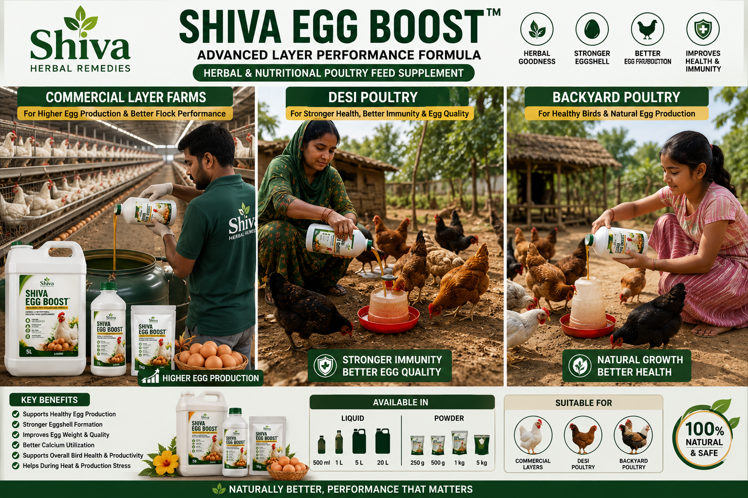 Shiva Egg Boost 3